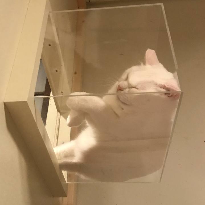 9a5a3080 f0f4 4e89 a072 a22b8416b219