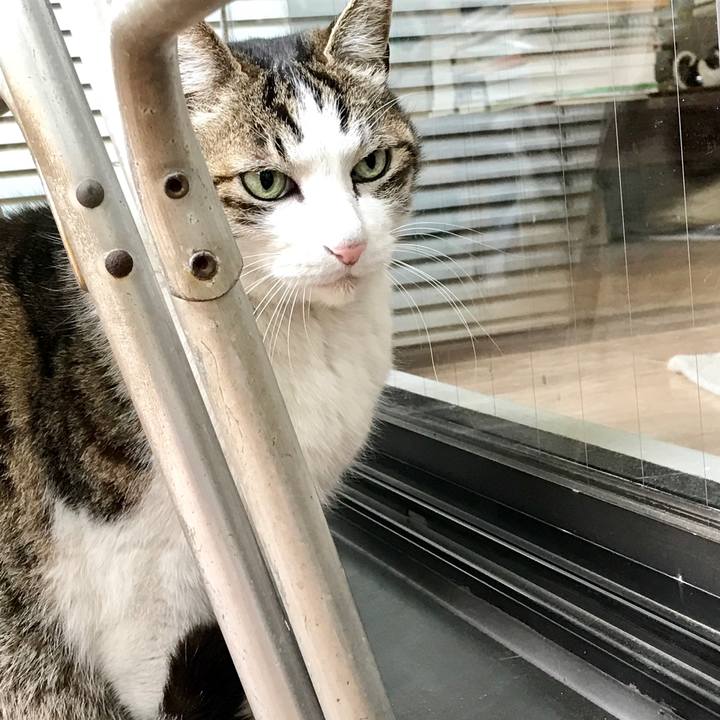 9a5a3d04 7ff3 46b9 816e ba0536d15ff8