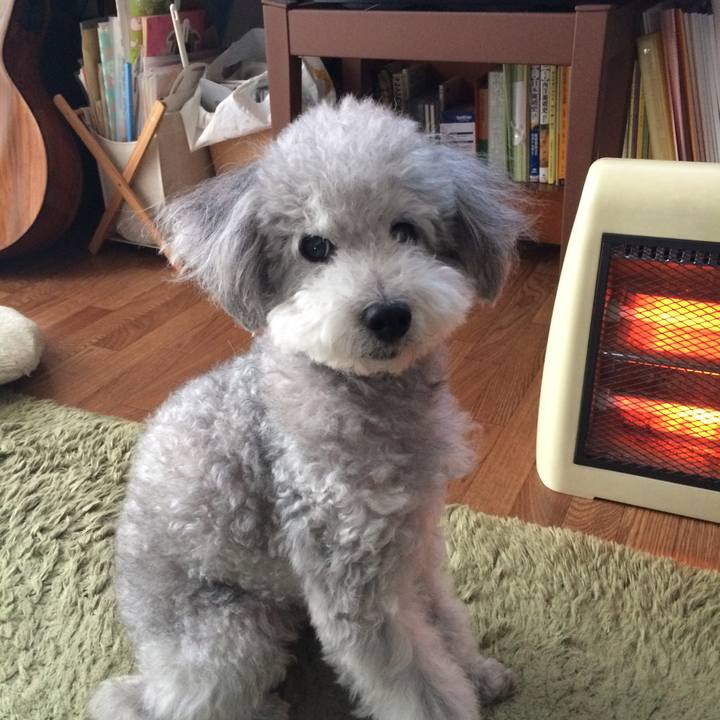 9a5a46b2 e223 429d 93cd c3fd41174812