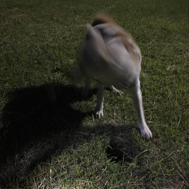 9a5aa64d 9fae 4d68 af54 6172db6d14cf