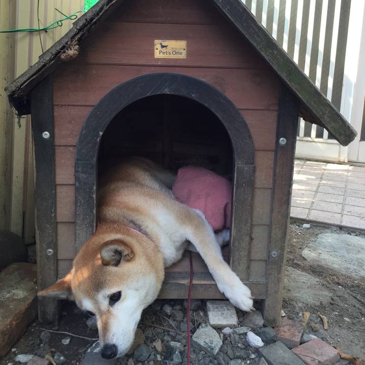 9a5aefb0 9067 4efd 8085 41c742af33f3