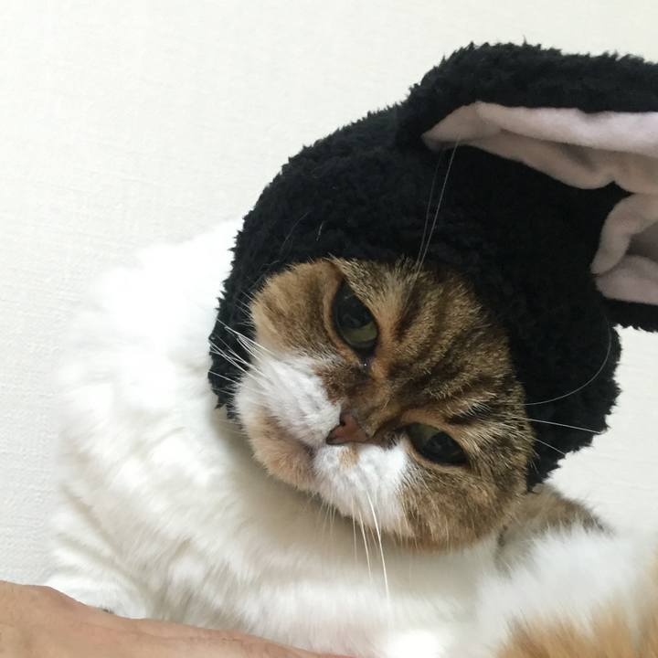 9a5b49b1 a620 4090 8180 ae75cbedd8e1