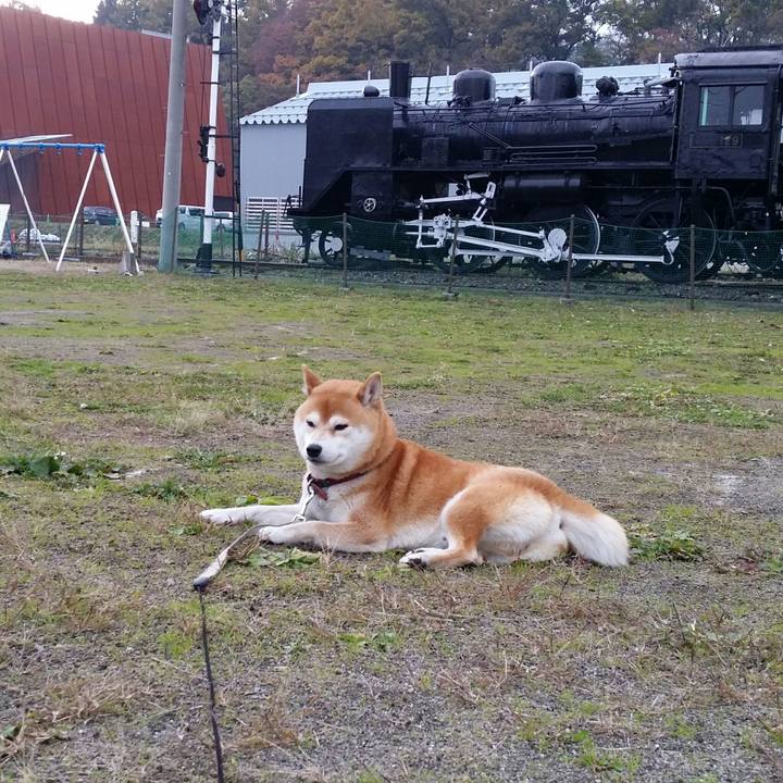 9a5b4ff2 6c2b 4d90 8fd3 ec31f8462149