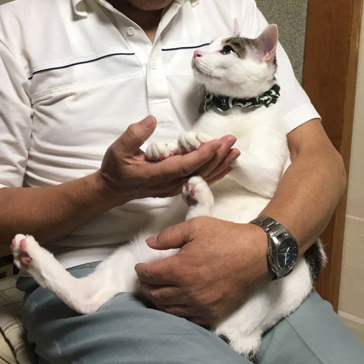 9a5b61f6 f626 4095 ba9e 7b4345e789ae