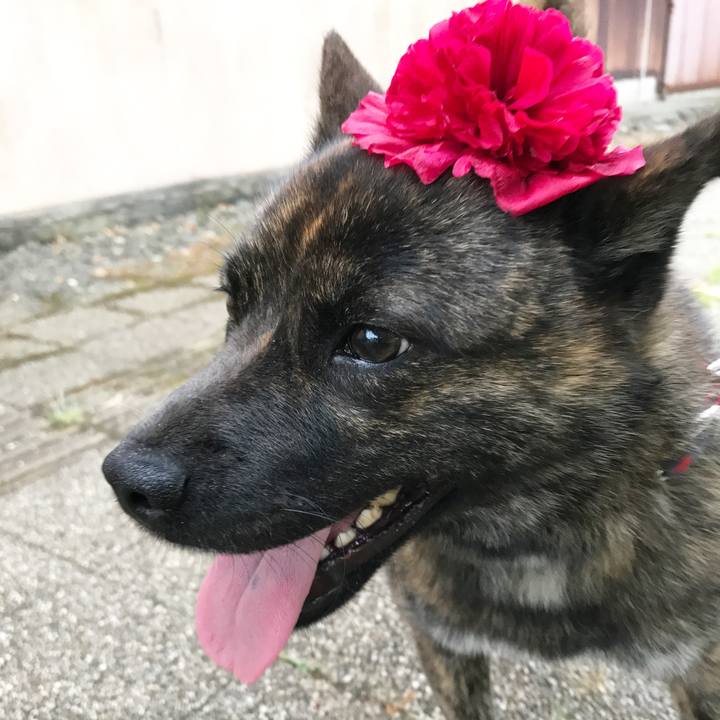 9a5c5736 5249 42e5 806e 51c43c7c997e