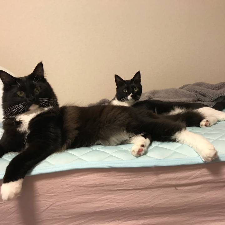 9a5cae14 4681 4905 8158 1ba248e98f53