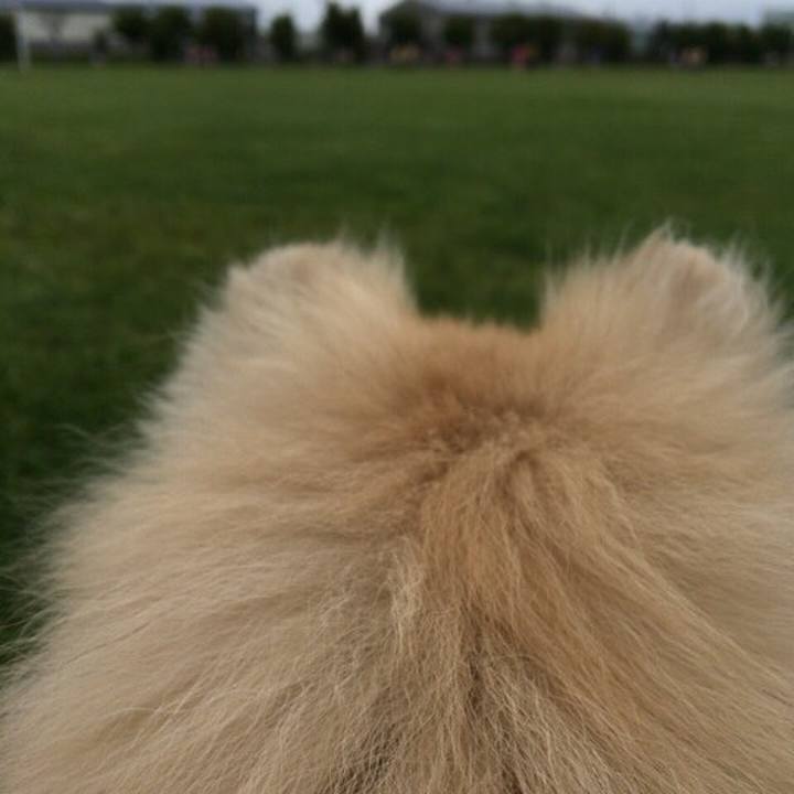 9a5cdbf9 1721 42b7 ae91 b24e99a38972