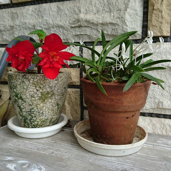 9a5d0533 574e 46ca 86ea f33846820d49