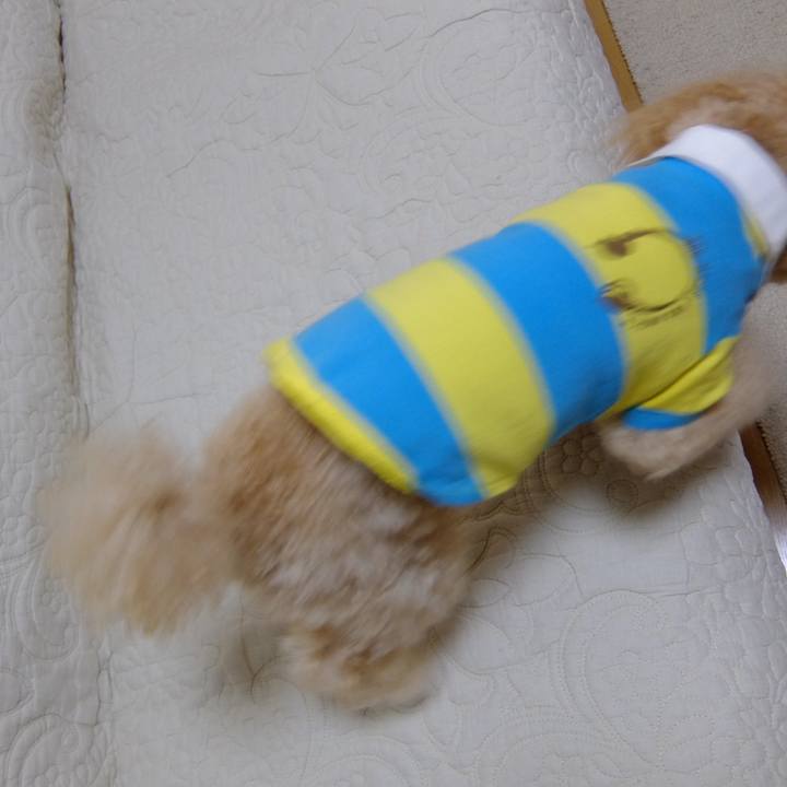 9a5d109c 5485 427a 89dc 07e063702891