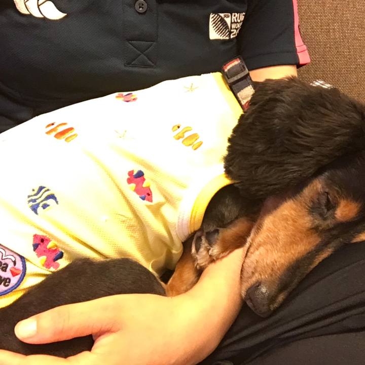 9a5d66b2 c7a0 4c50 a851 7282a245a36a