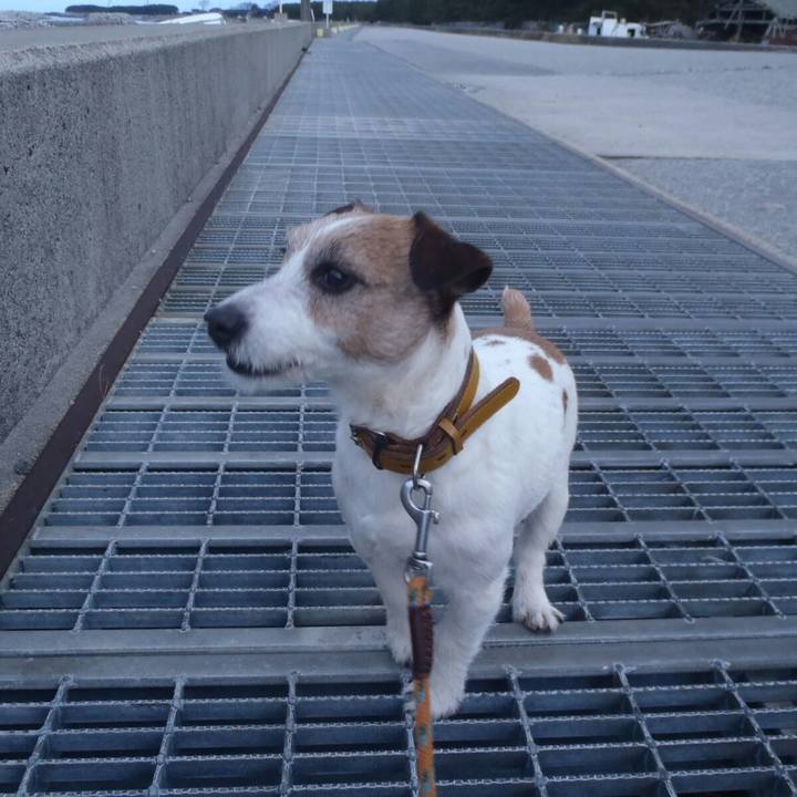 9a5d8e46 b92b 40ce 89f9 d18bc719a1a1