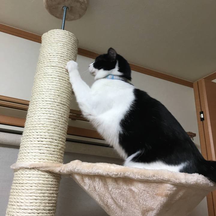 9a5dbe5d 352e 4697 b581 4d9ed469b39d