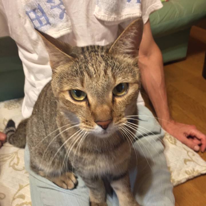 9a5e905f 5fda 45a5 b712 131177b60445