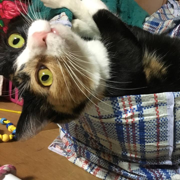 9a5eb885 73a8 43c2 87e1 3b4a61ff0744