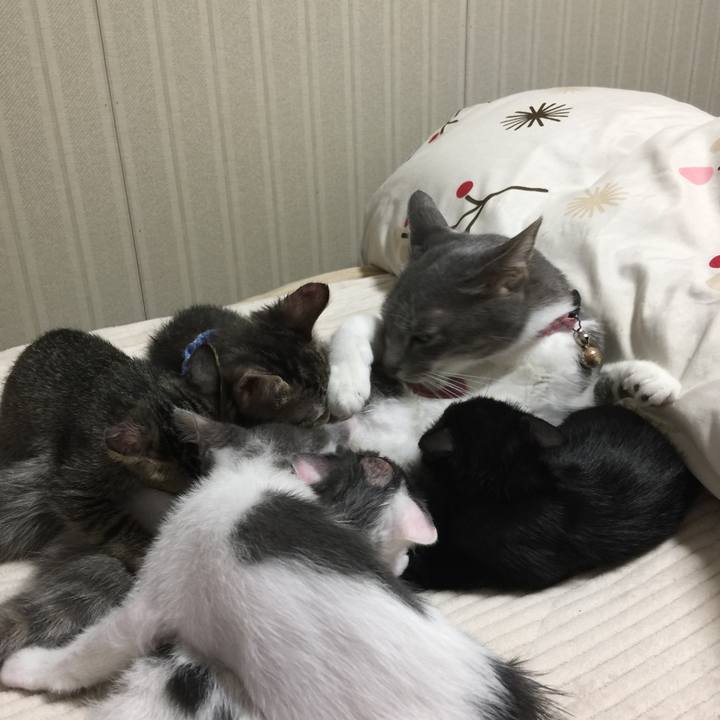 9a5ece12 9e74 4e98 9779 20778c2efc2b