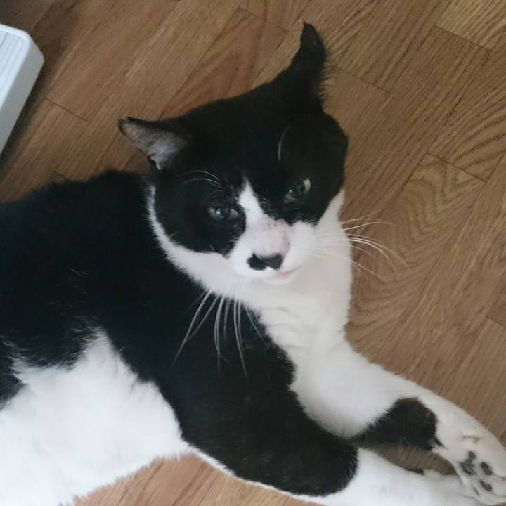 9a5ee04c 02ff 4abb 82e2 7ed7ce0cea5a