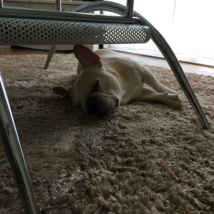 9a5f10c7 6a19 45c3 bb12 08943b5b17d6