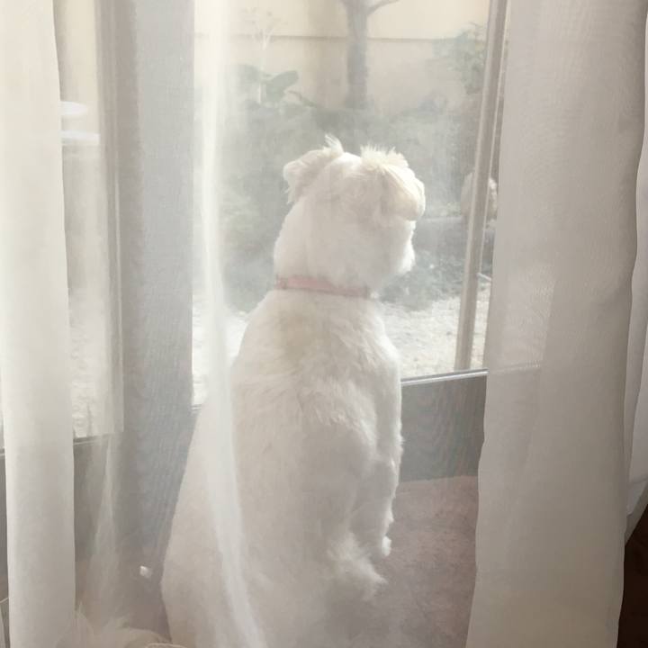 9a5f16aa 9062 4555 a0ad 4b068bec6509