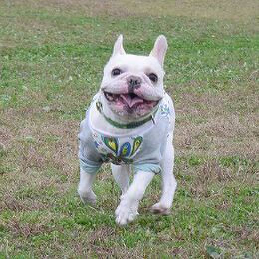 9a5f8cb5 9e14 413b 822c 668045c5b6e4