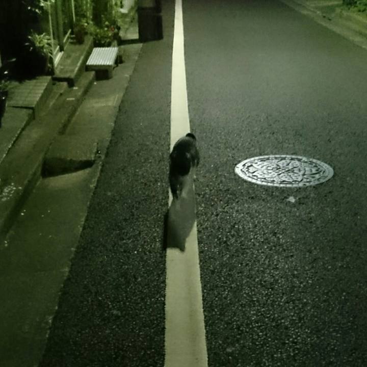 9a5fd84a 1c39 4c7f a8c0 cdf8e573e05f