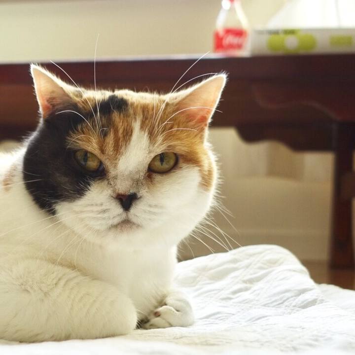 9a5fe1ad b0c9 44db b788 fabc7f89651c