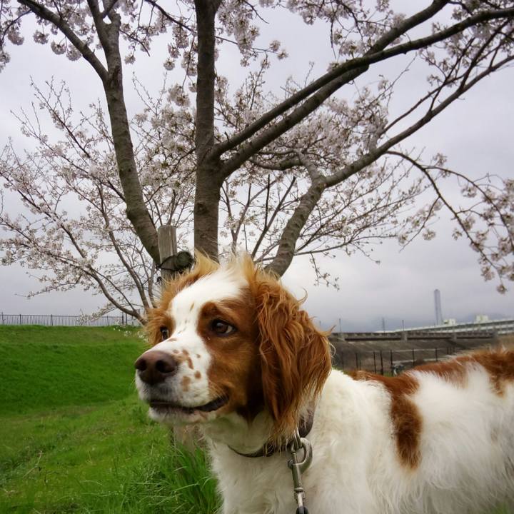 9a607f2d 94af 46e2 8faa 0604331cebc6