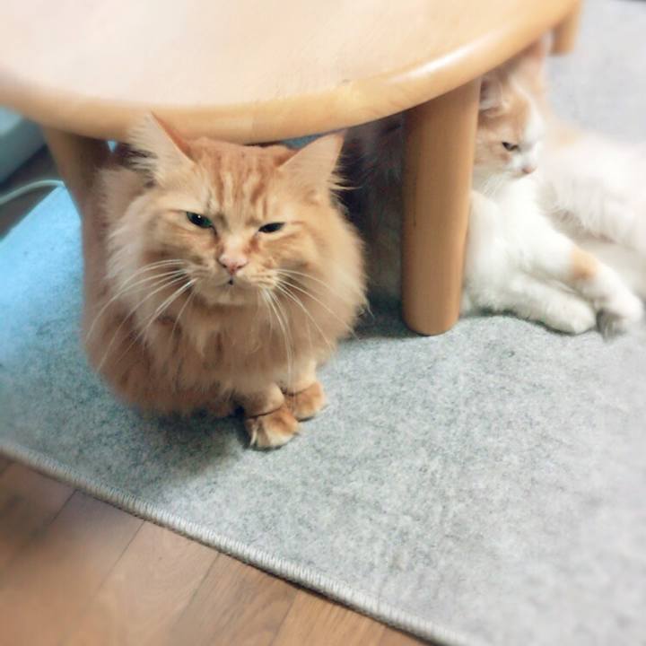 9a609bdb 0d2b 4456 b505 45bf275c09df