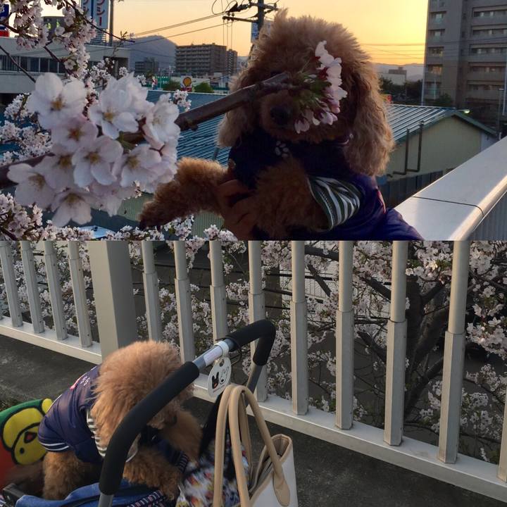 9a60ac9e b480 46a4 9b06 6499cebea537