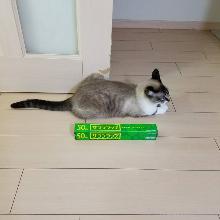 9a60fba6 e786 4075 b60c 9b762e50df3e