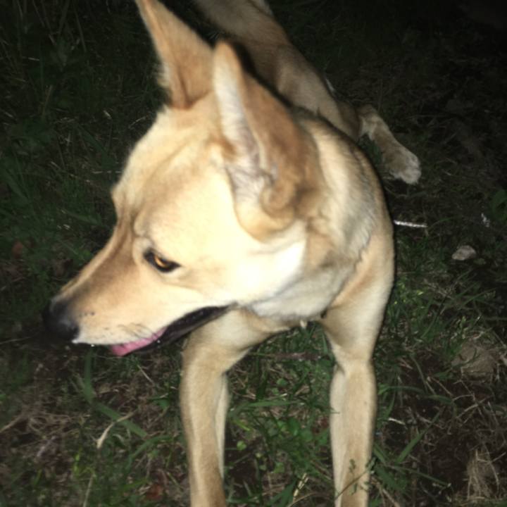 9a6117b2 53fa 4bec 8945 ac94b3ceeee4