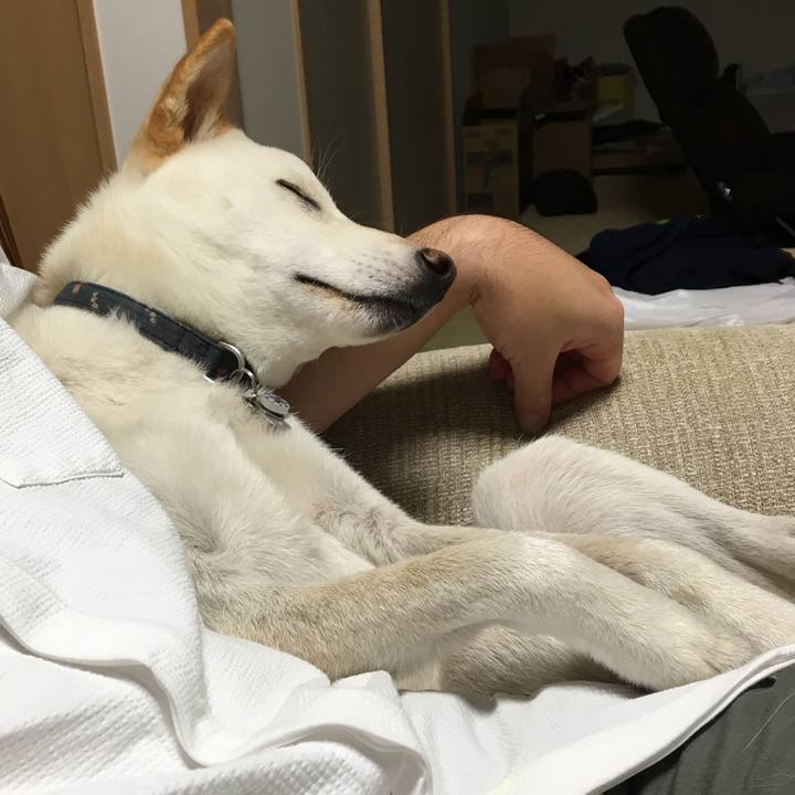 9a613214 ace5 48b8 a7da becb56ae5bea