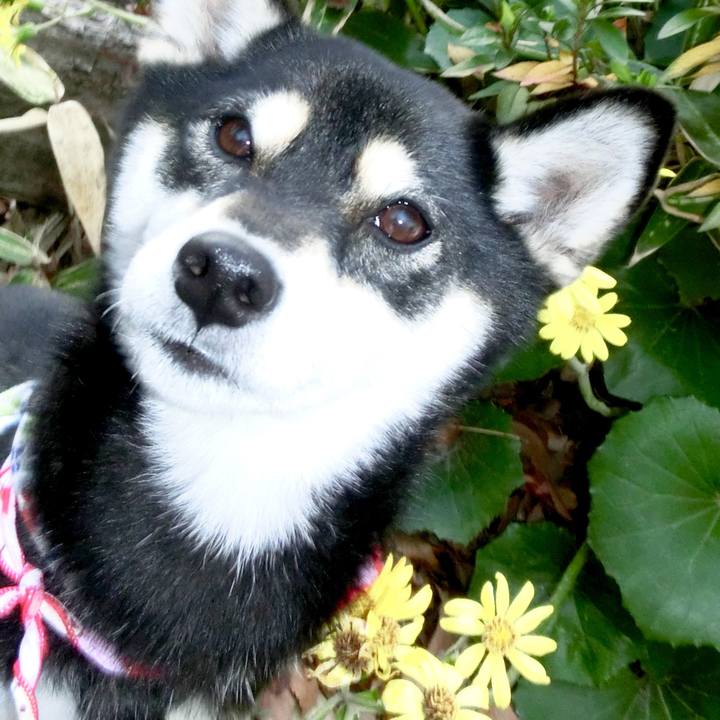 9a614dad 5e1a 4ae8 a8c2 beec86f7d2b8