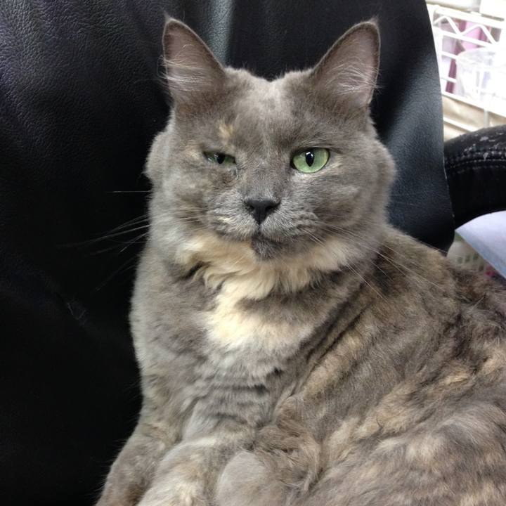 9a61b82d d4c8 4a86 bbdf 9c84e68e42da