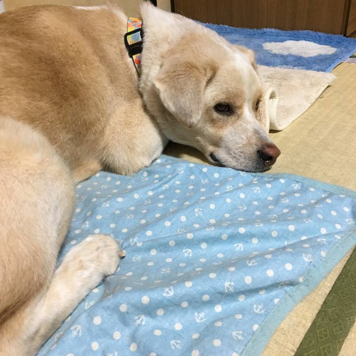 9a61d646 1ae6 4943 b036 039ad27a6b5d