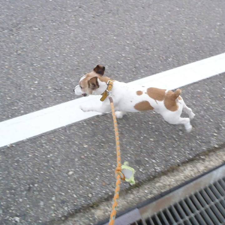 9a620d43 4dc1 496c 9fd5 179815e67613