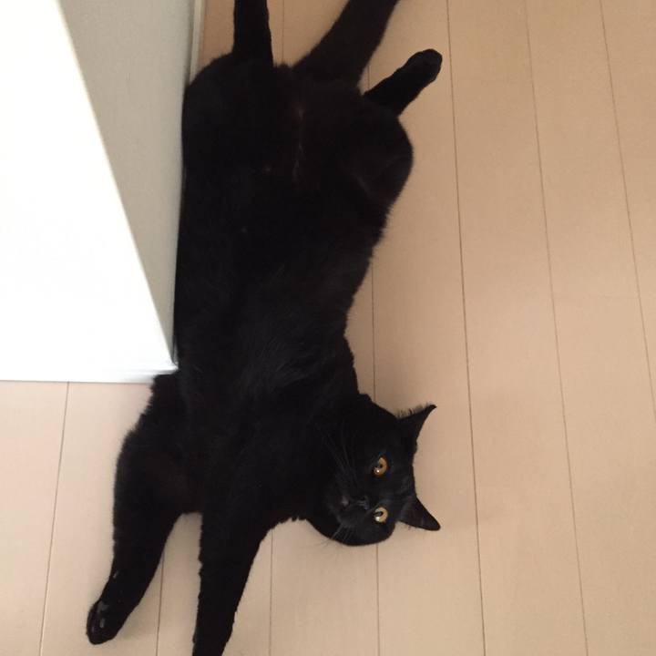 9a621c2d 3f12 4a1a 8846 29218cee4a2e