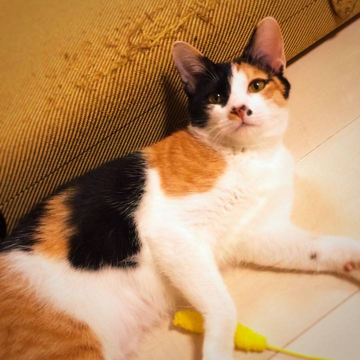 9a6323b5 7252 4da2 8306 afa55d503a25