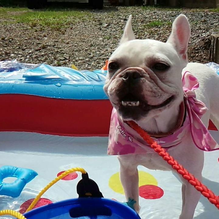 9a633c6f d843 4a08 8150 32eb082f8fdc