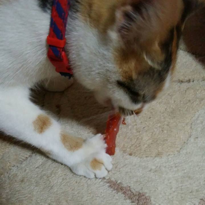 9a6374b9 f933 4905 90d6 99fa1a7ad359