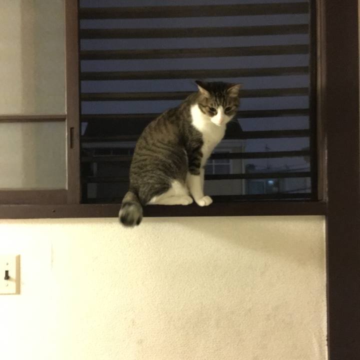 9a6530bc 902d 47b0 ba14 88ed25bdc9c9