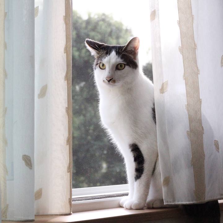 9a653176 7d91 409f a419 1bf1f9650389