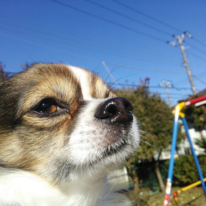 9a65c32c a74f 43e6 b872 0c548f7c2097