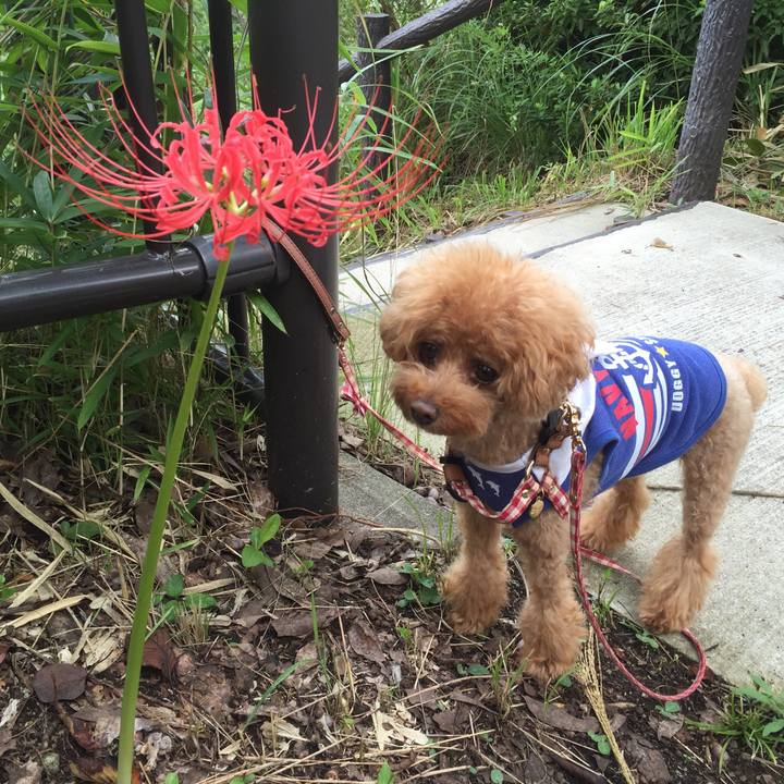 9a65f451 b415 4732 b0c1 cc254fc72beb