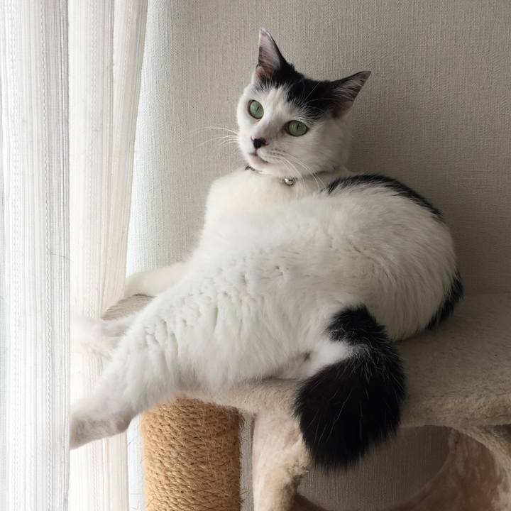 9a6606dd abfa 44f5 8834 fb4e084646ab