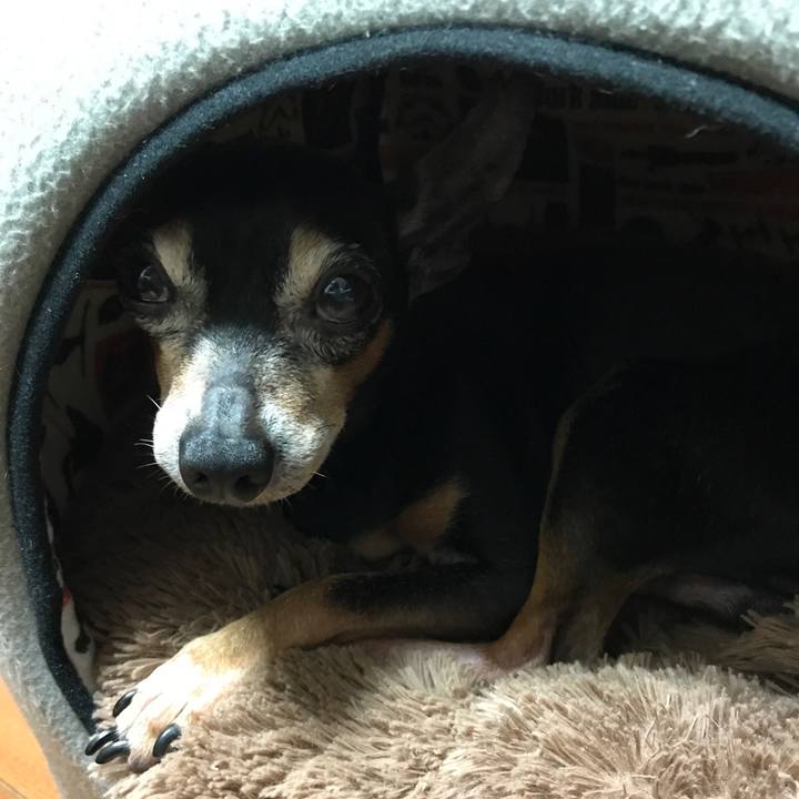 9a660d38 60c3 4512 887e 52d0ae10cd39