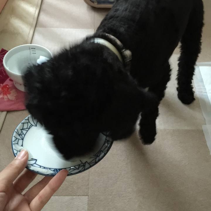 9a66743a dc10 4711 a6c3 7ee244265424