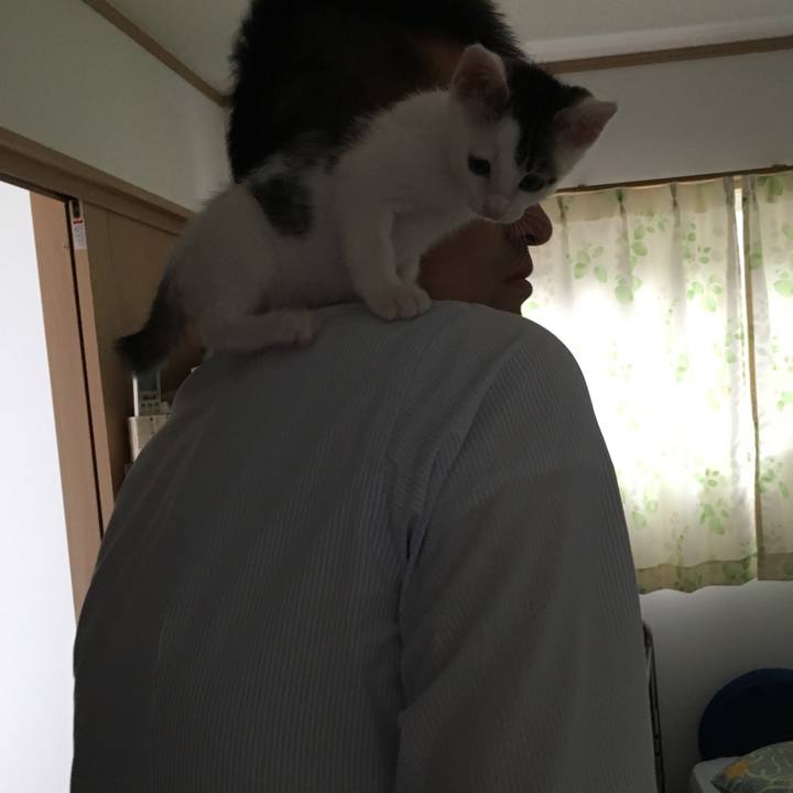 9a6722bf 9fc8 495f 958e a770efc46d61