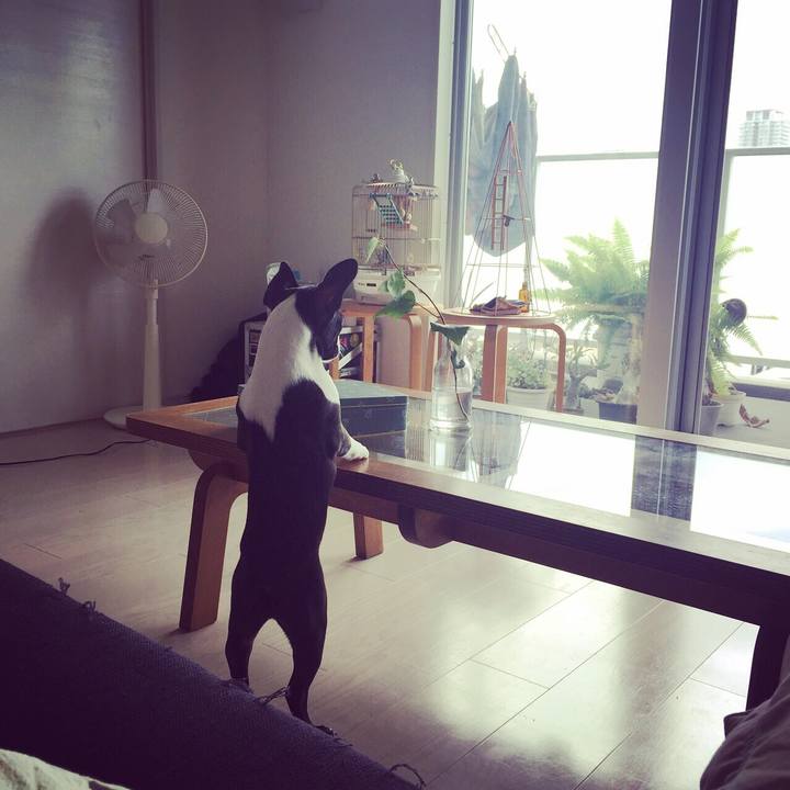 9a67344c f5bb 4cf4 ab3b bcf575b65549