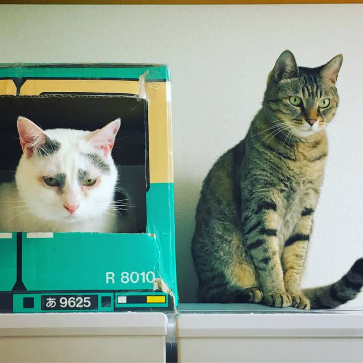 9a6752b4 ffc8 4d28 89c1 8c5355207e3e