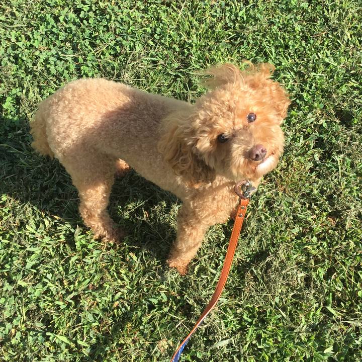 9a685000 3d54 4d51 a05b aab05a2b651f